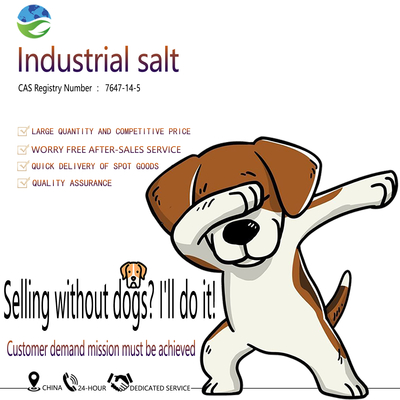 Industrial Grade Sodium Chloride NaCl 99% Purity for Water Treatment